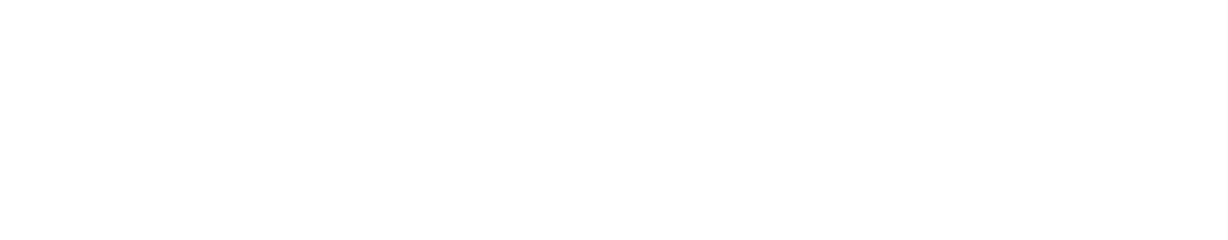 2024 01 MC Logo WELLNESS 01FReflexologyMassage 02Wh